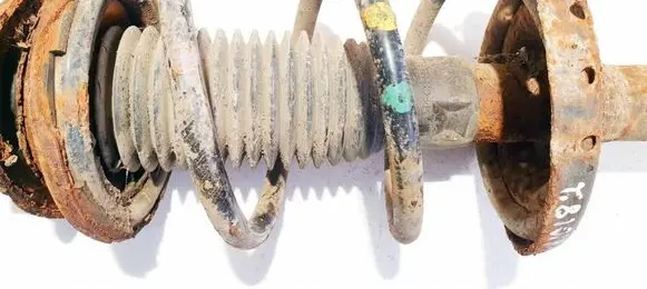 Front coil spring