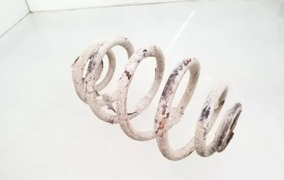 Volkswagen PASSAT B5 Rear coil spring