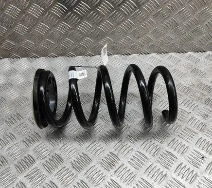 Tesla Model Y Rear coil spring 118847500D