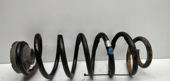 Rear coil spring