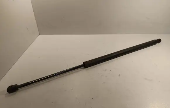 Tailgate strut