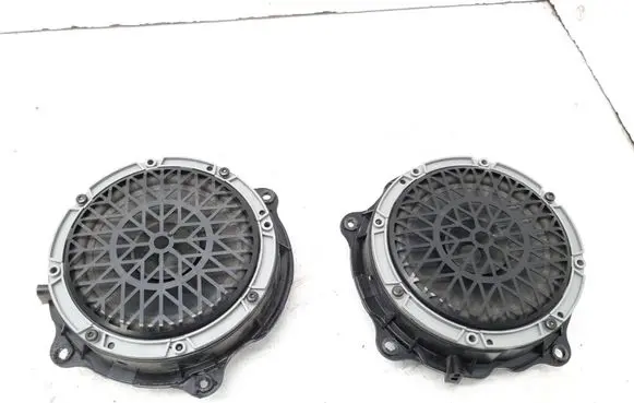 Citroen C5 Rear door speaker