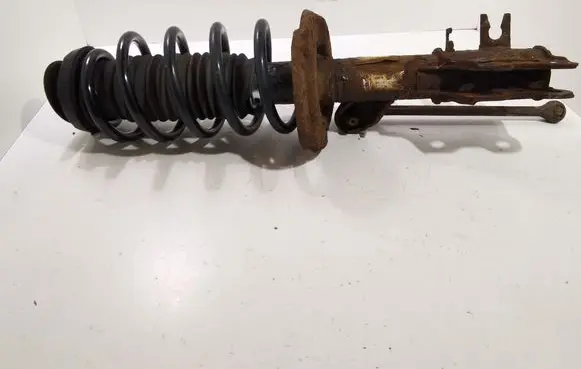 Front shock absorber with coil spring