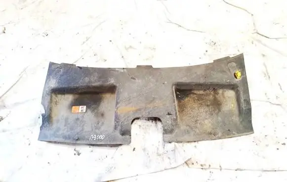 Engine bonnet/hood lock trim molding