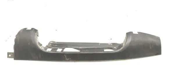 Rear/tail light trim molding