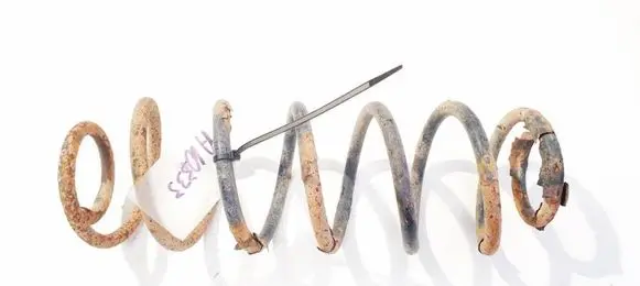Rear coil spring