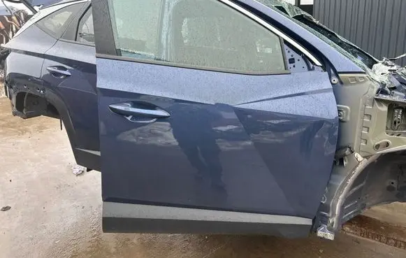 Hyundai Tucson IV NX4 Front door 