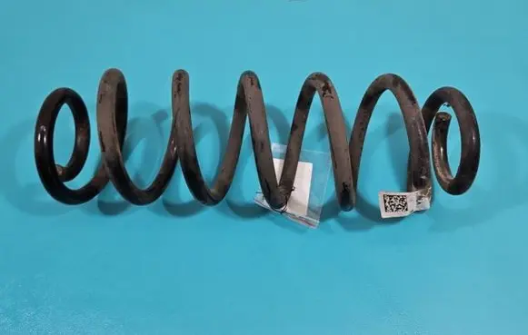 Rear coil spring