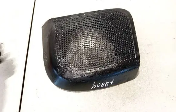 Side speaker trim/cover