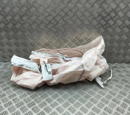 Cupra Born Roof airbag 10A880741H
