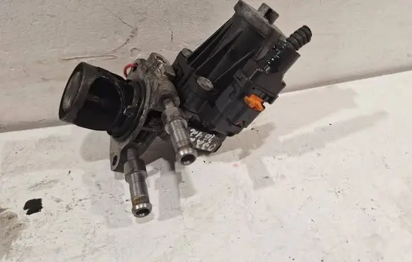 Citroen C3 EGR valve 5056392101