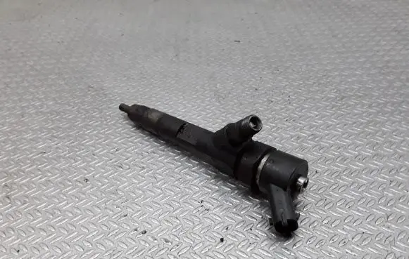 Renault Espace - Grand espace IV Fuel injector 0445110110B