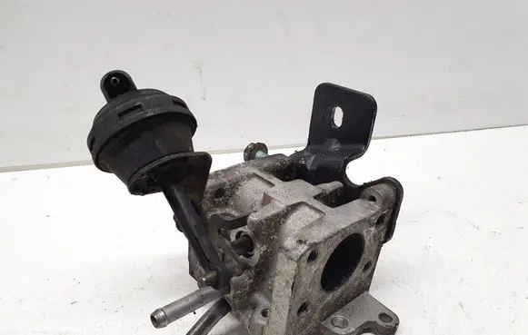 Volkswagen Touareg I EGR valve 070131063A 297518035