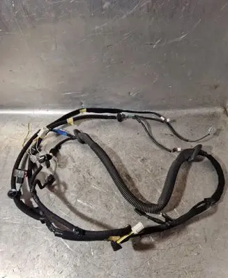 Rear door wiring loom