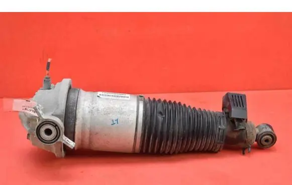 Porsche Cayenne (9PA) Rear shock absorber/damper 7L5512021BD
