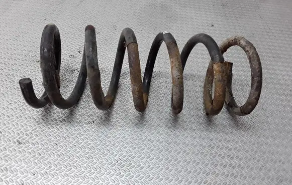 Opel Antara Rear coil spring