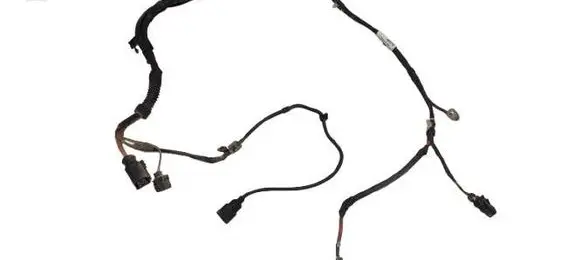 Other wiring loom