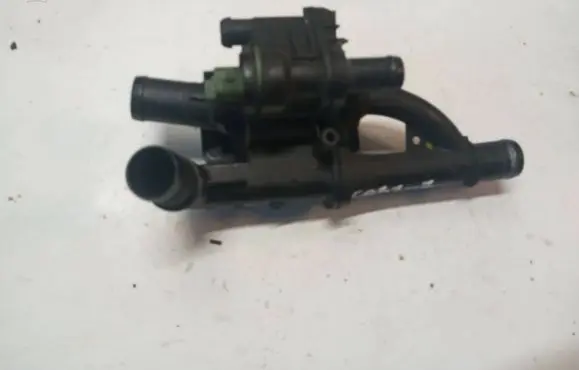 Thermostat/thermostat housing