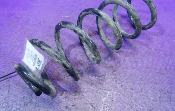 Dacia Sandero Rear coil spring