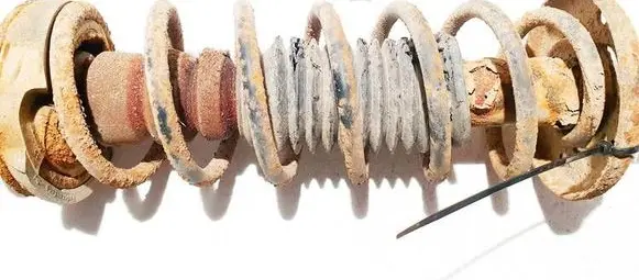 Rear coil spring