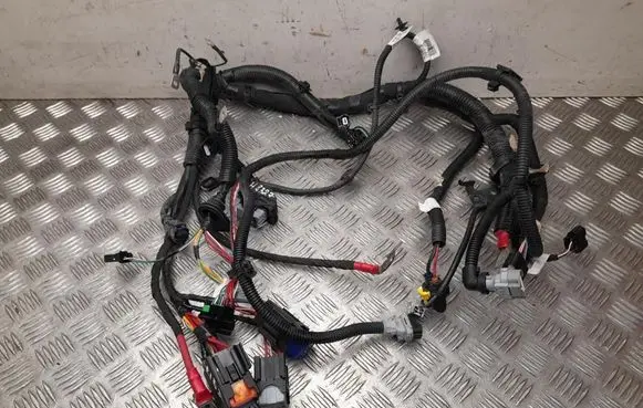 Renault Zoe Other wiring loom 240110871S