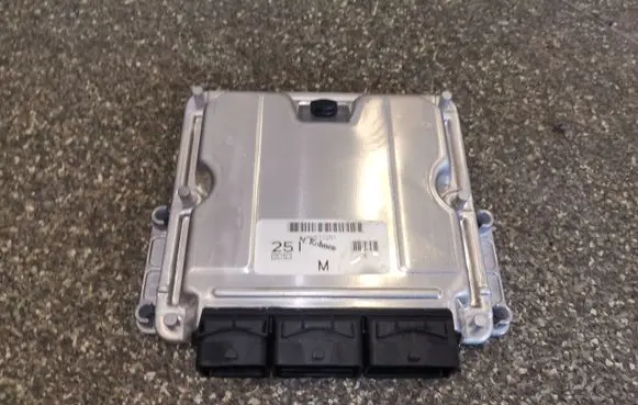 Mitsubishi Space Star Engine control unit/module 0281011611 8200319959 8200319968