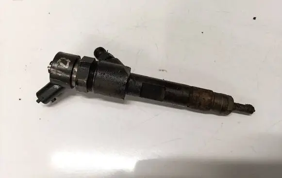 Suzuki Grand Vitara II Fuel injector 8200389369 0445110230
