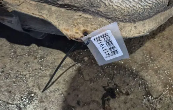 Mazda 6 Fuel tank 