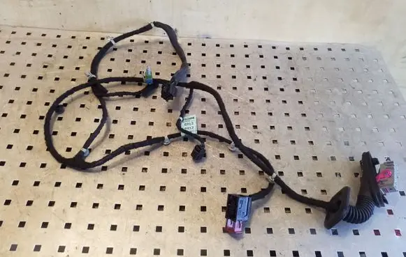 Rear door wiring loom