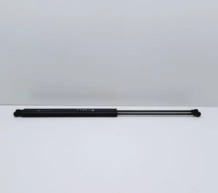 Tailgate/trunk strut/damper