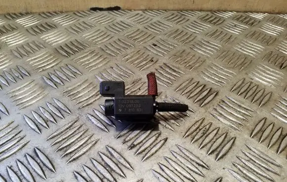 Vacuum valve