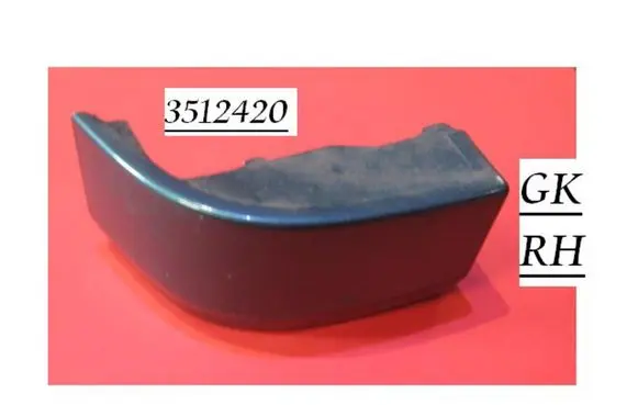 Rear/tail light trim molding