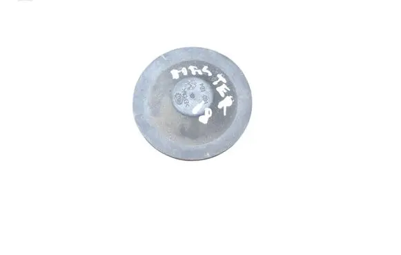 Renault Master III Headlight/headlamp dust cover 160184