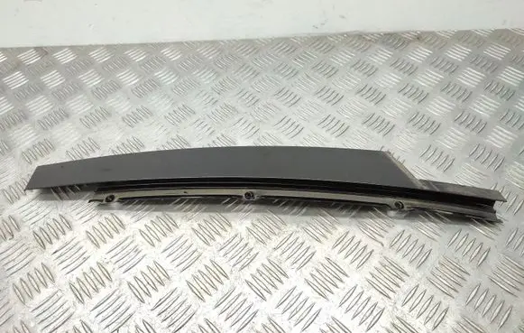 Renault Laguna III Front door glass trim molding 802850003R