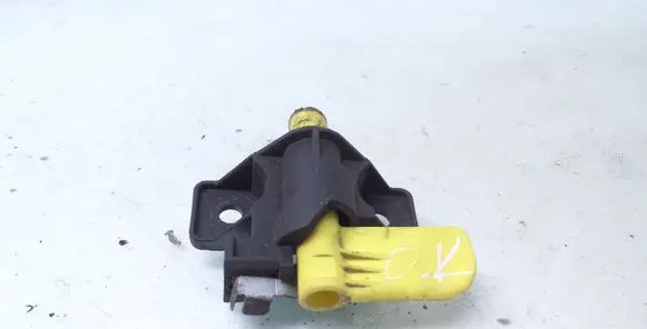 Citroen Berlingo Loading door interior handle 