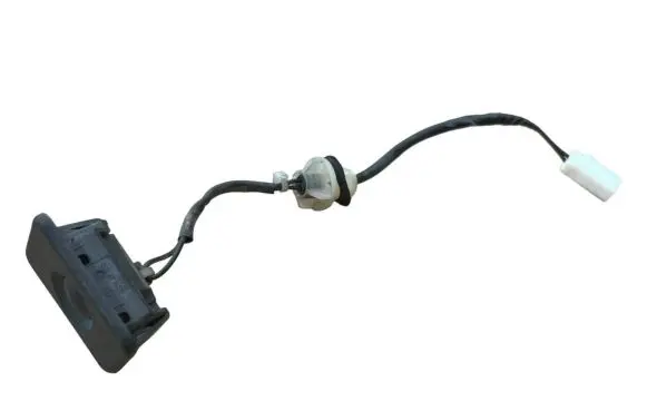 Tailgate opening switch