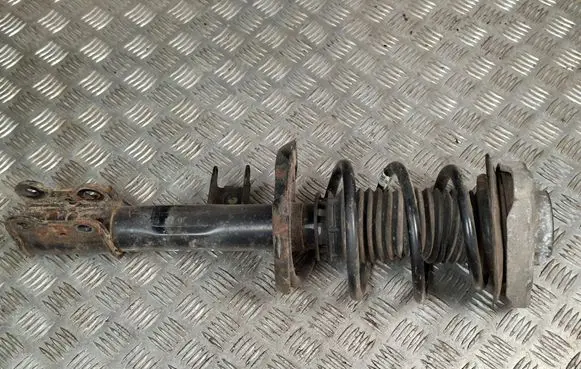 Rear shock absorber/damper