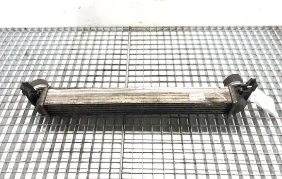 Skoda Rapid (NH) Intercooler radiator Y3427002