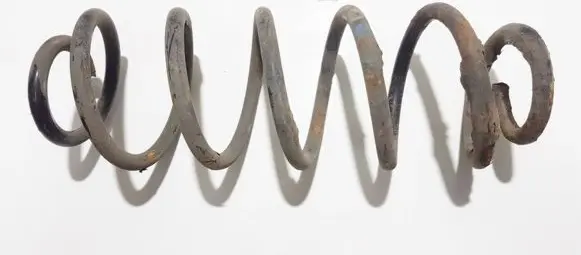 Volkswagen New Beetle Rear coil spring