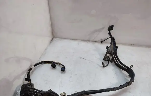BMW X6 E71 Other wiring loom 7575579
