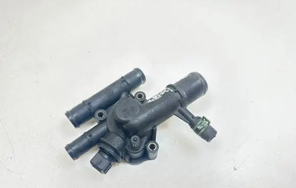 Thermostat/thermostat housing