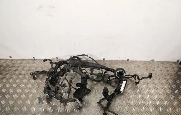 Infiniti QX50 (J50) Other wiring loom 240113WJ