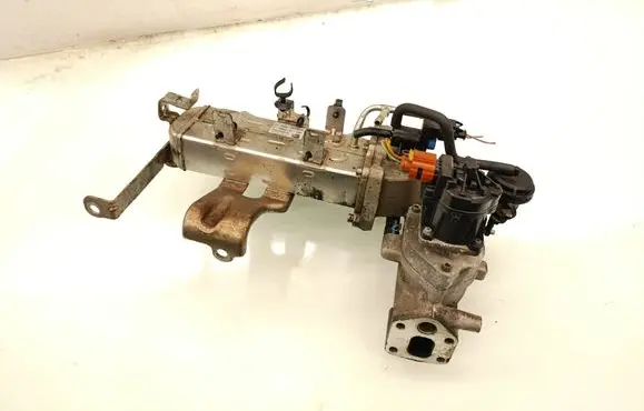 Opel Antara EGR valve cooler 25184582