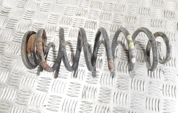 Volkswagen PASSAT B6 Rear coil spring