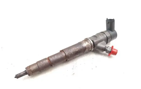 Opel Vivaro Fuel injector 0986435202 0445110338 0445110634
