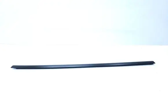 Tesla Model Y Rear door trim (molding) 162116900C
