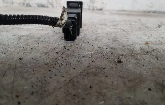 Traction control (ASR) switch