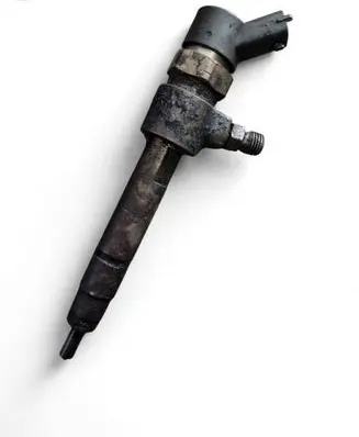 Fiat Punto (188) Fuel injector 0445110119