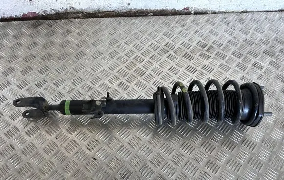 Toyota Mirai II Front shock absorber with coil spring 4851062020