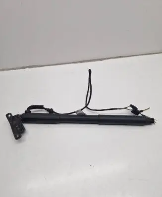 Tailgate strut